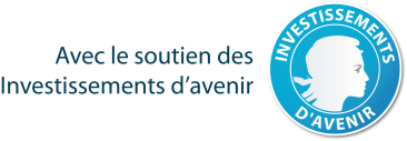 investissements d'avenir