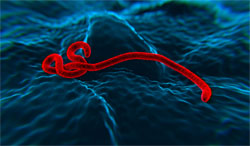Ebola - Santé publique, sécurité nationale?