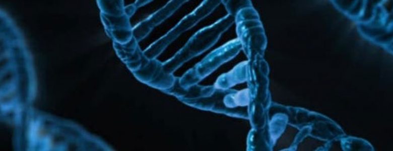 Conférences bioéthique EHESP - Columbia University 4 et 6 février 2019
