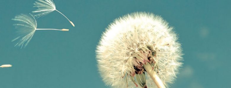 Bannière semaine développement durable 2019