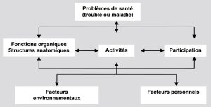 Schéma conceptuel de la CIF